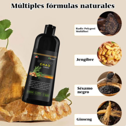 SHAMPOO CHAO CANAS 3 EN 1 – RECUPERA TU COLOR Y JUVENTUD ✨